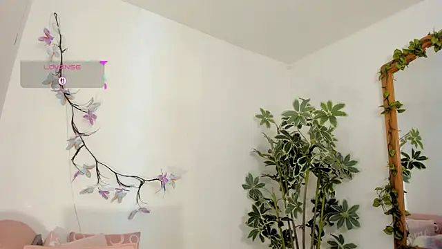 valerieMattson online show from 11-26-25, 04:30