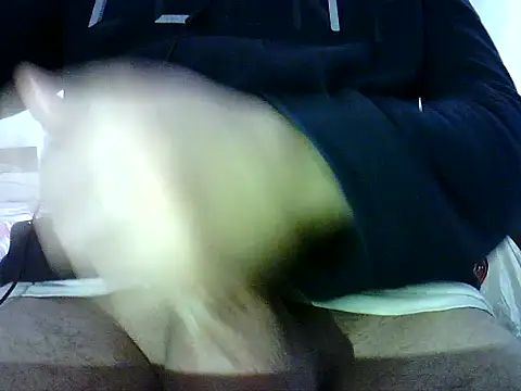 photo3995 online show from 01-12-26, 09:47