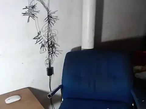 BebaFoxx online show from 11-30-25, 07:01