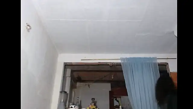 BebaFoxx online show from 02-22-26, 11:14