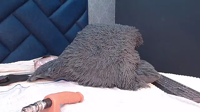 shanthal bllizz online show from 04-23-26, 03:08