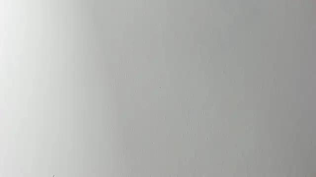 Snapshot of Lady_miss___ chatting on 11-06-25, 12:17 Lady miss online show from 11-06-25, 12:17