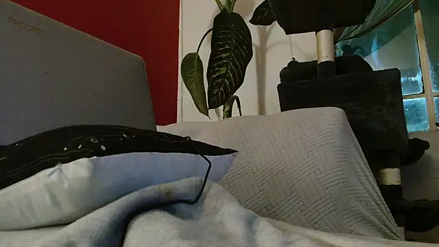 Tulindabonny online show from 03-06-26, 05:04