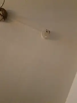 Snapshot of LightskinBumpa chatting on 11-15-25, 02:09 LightskinBumpa online show from 11-15-25, 02:09