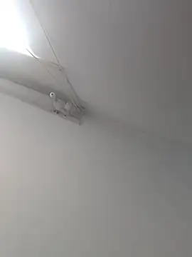 Snapshot of Tattoboy19cm chatting on 10-19-25, 08:09 Tattoboy19cm online show from 10-19-25, 08:09