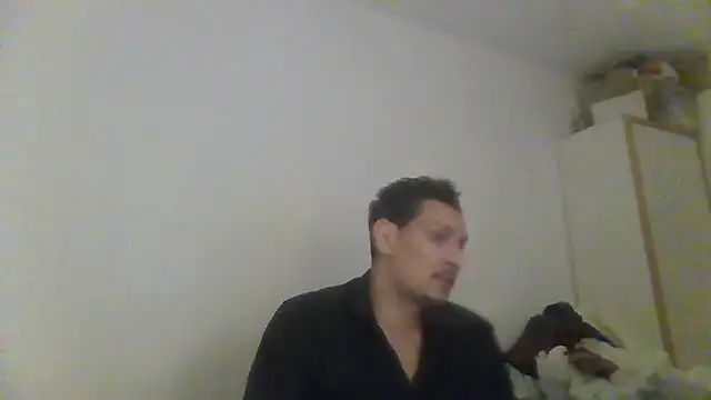 ARTANIS20 online show from 05-29-26, 12:19