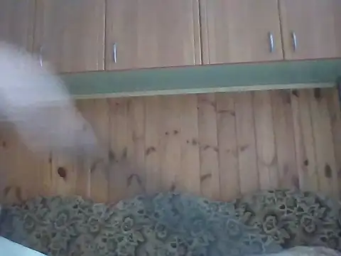 Maksymilian1 online show from 02-22-26, 09:41