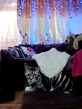 Snapshot of SquirtMilf00 chatting on 02-18-25, 07:10 SquirtMilf00 online show from 02-18-25, 07:10