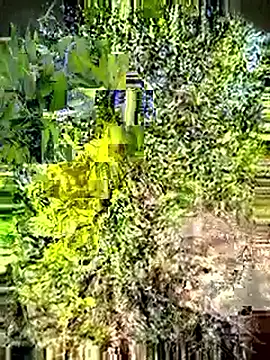 Snapshot of Desi_Horny_Boys chatting on 05-03-26, 03:12 Desi Horny Boys online show from 05-03-26, 03:12