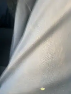 curis4270panda online show from 02-17-26, 11:00