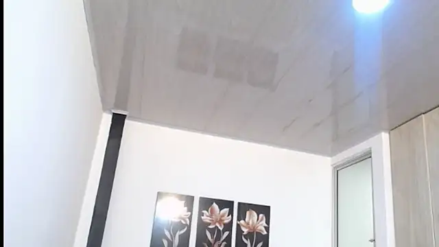 pinky f00x online show from 05-11-26, 07:22