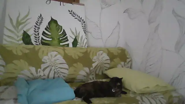 Snapshot of Catty_Lady chatting on 09-27-25, 06:35 Catty Lady online show from 09-27-25, 06:35