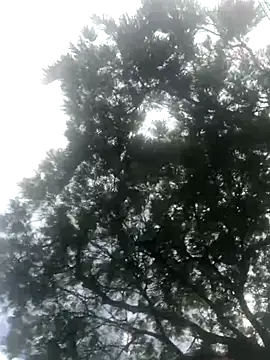 BryanaSmith21 online show from 09-19-25, 12:28