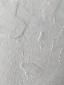 yaraa49 online show from 10-23-25, 05:07