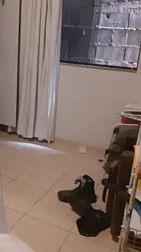 Urso Nerd online show from 04-24-26, 03:25