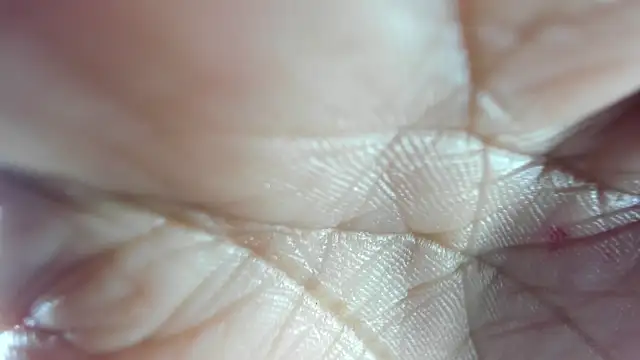 Mindy 19 online show from 12-18-25, 11:05