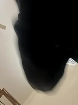 zack6x online show from 12-02-25, 03:40