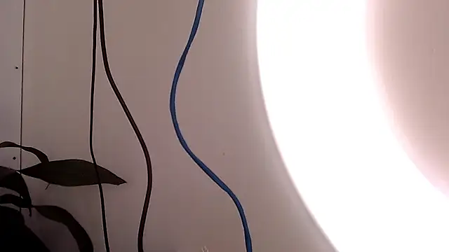 saara johnson496 online show from 09-24-25, 03:15