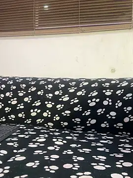 cody fox10 online show from 04-25-26, 11:13