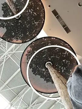 StephanieMur online show from 10-12-25, 04:44