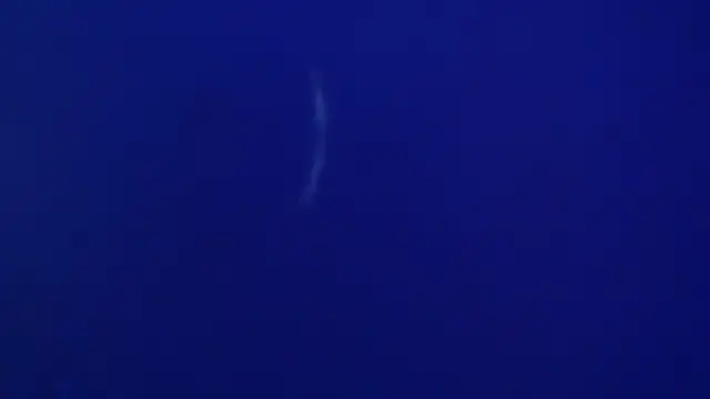 Snapshot of The1BBC chatting on 02-12-26, 04:13 The1BBC online show from 02-12-26, 04:13