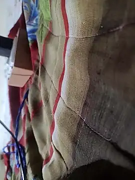 Telugu person12 online show from 02-16-26, 09:00