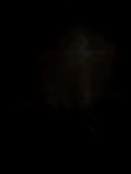 Dior 521 online show from 11-17-25, 04:07