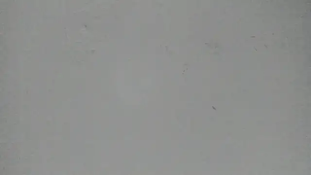 Sophia Ebony online show from 03-13-26, 12:01