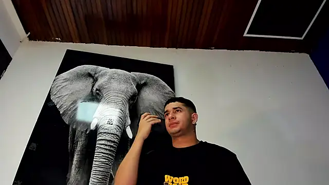 king falconer online show from 11-02-25, 12:35