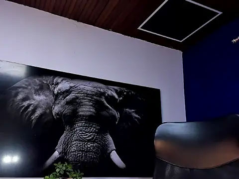 king falconer online show from 01-15-26, 02:16