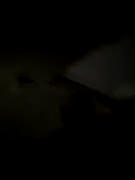 Snapshot of freedmar chatting on 11-05-25, 11:32 freedmar online show from 11-05-25, 11:32