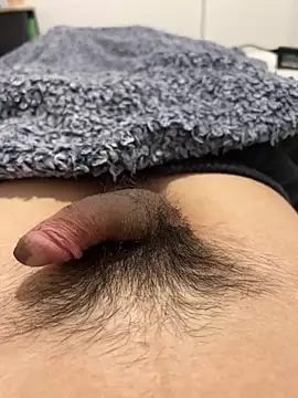 Snapshot of josefasanchez chatting on 10-10-25, 08:08 josefasanchez online show from 10-10-25, 08:08