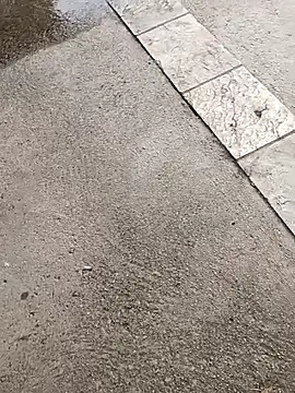 Snapshot of jvdzj-0_ chatting on 10-19-25, 03:34 jvdzj-0 online show from 10-19-25, 03:34