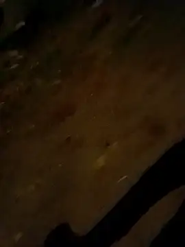 Snapshot of jvdzj-0_ chatting on 10-28-25, 09:50 jvdzj-0 online show from 10-28-25, 09:50