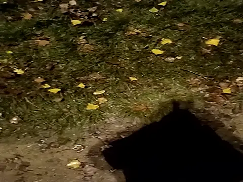 Snapshot of jvdzj-0_ chatting on 10-29-25, 10:44 jvdzj-0 online show from 10-29-25, 10:44