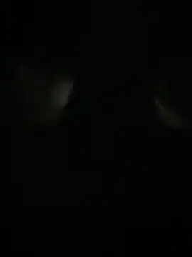 Archie-Davis online show from 10-31-25, 07:26