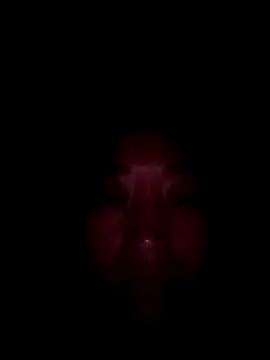 Zhan99999 online show from 10-15-25, 11:21