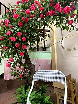 Bollozzy 89 online show from 09-29-25, 04:23