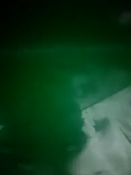 daisylouis online show from 04-03-26, 12:14