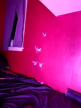 Cnutt310 online show from 10-25-25, 08:55