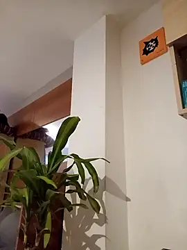 Paula Alameda online show from 09-19-25, 11:33