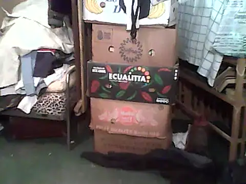 A1B3- online show from 12-14-25, 02:44