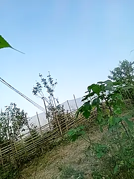 Snapshot of Chubbyhoney1 chatting on 03-31-26, 09:43 Chubbyhoney1 online show from 03-31-26, 09:43