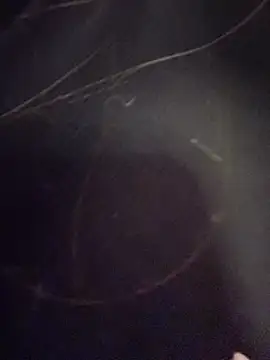 Natalia vidal online show from 11-06-25, 01:12