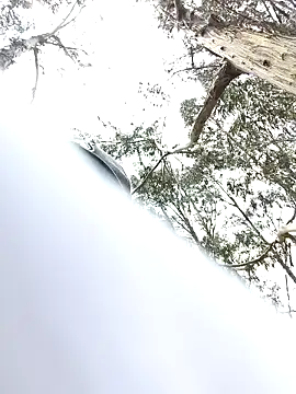 Thomasjons  online show from 04-14-26, 04:46