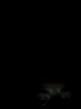 Xhimo5 online show from 09-28-25, 08:31