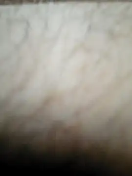 nikads0 online show from 05-19-26, 01:39