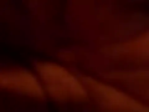 TRANSPORNIDOL online show from 11-22-25, 07:24