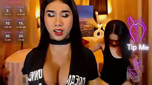 TRANSPORNIDOL online show from 05-22-26, 04:56