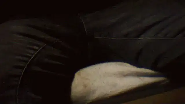 pietje1991 online show from 03-25-26, 10:27